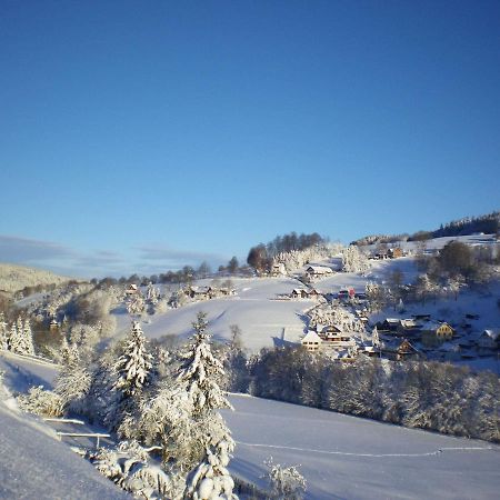 Cozy Apartment In Ore Mountains With Balcony ブライテンブルン エクステリア 写真