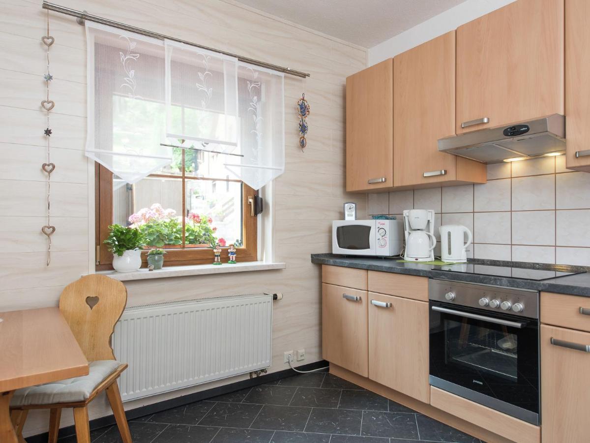 Cozy Apartment In Ore Mountains With Balcony ブライテンブルン 部屋 写真