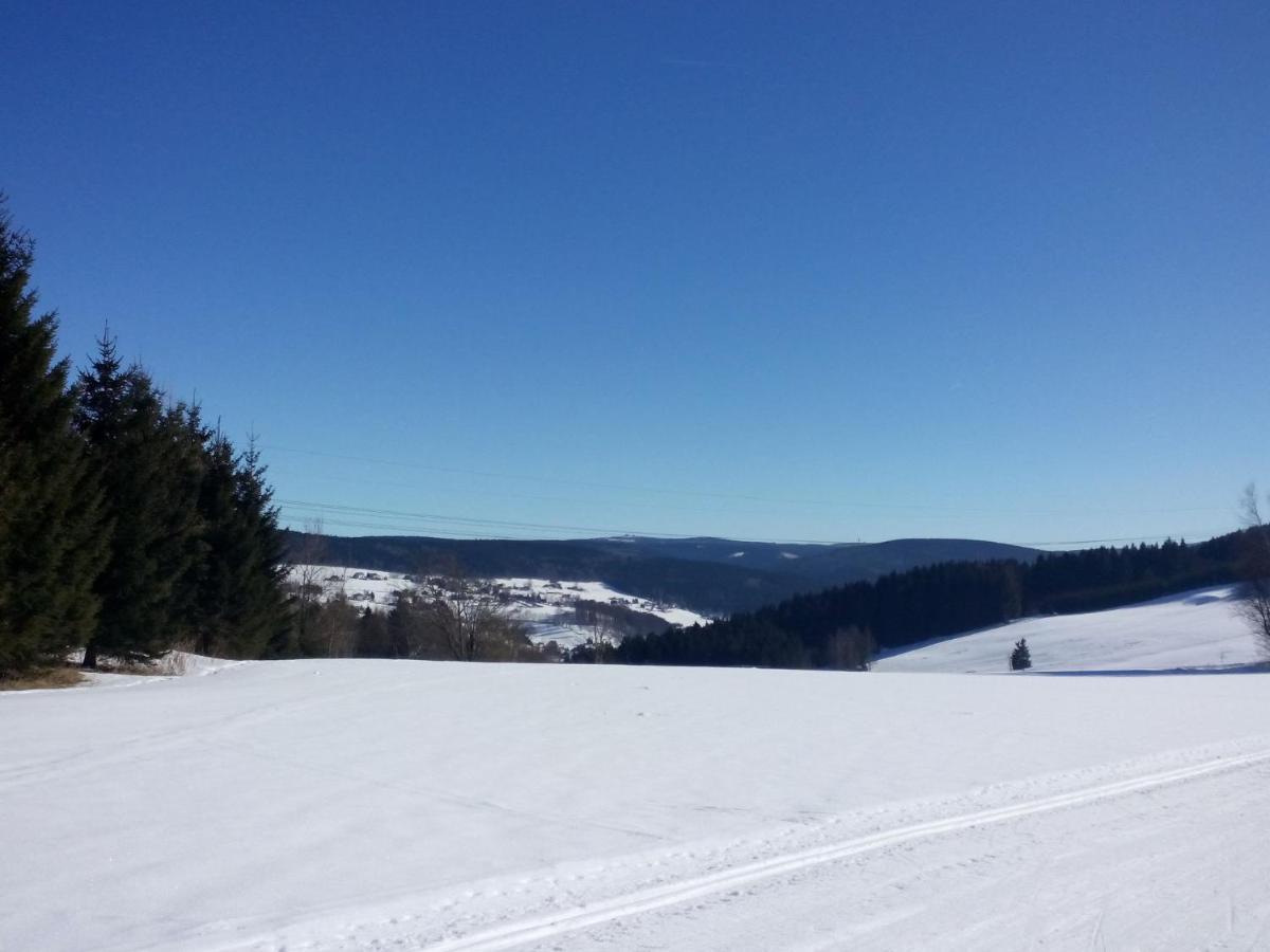 Cozy Apartment In Ore Mountains With Balcony ブライテンブルン 部屋 写真