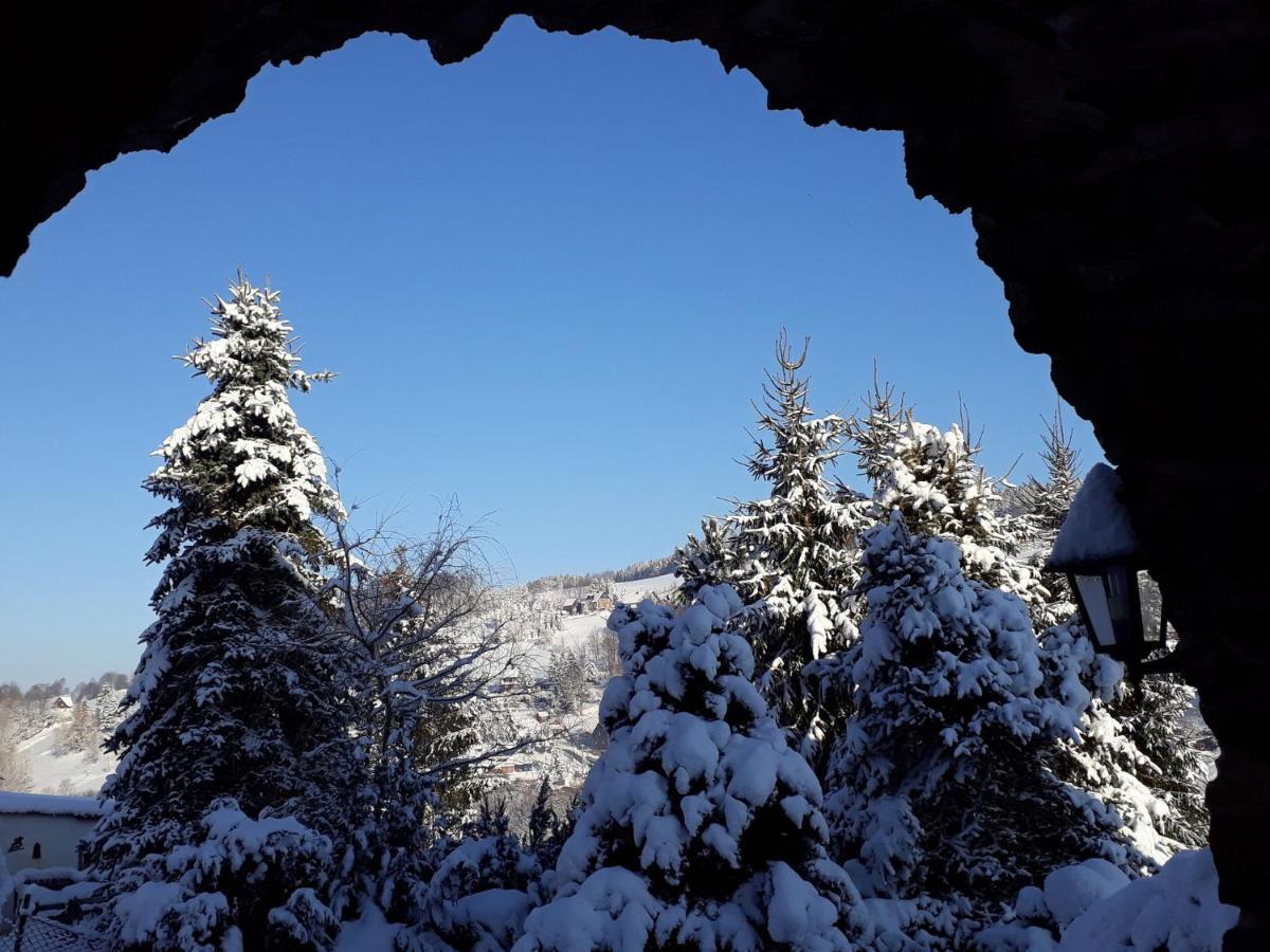 Cozy Apartment In Ore Mountains With Balcony ブライテンブルン エクステリア 写真