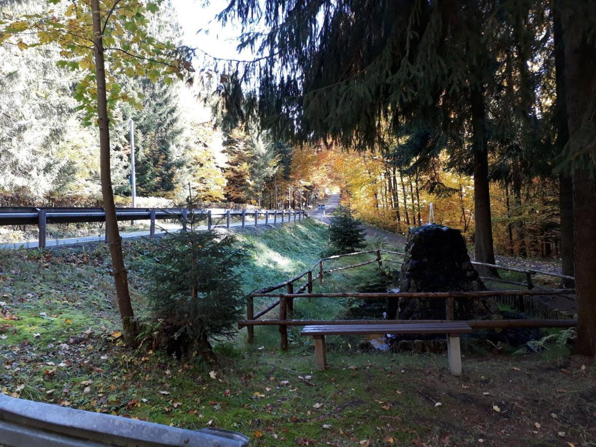 Cozy Apartment In Ore Mountains With Balcony ブライテンブルン エクステリア 写真
