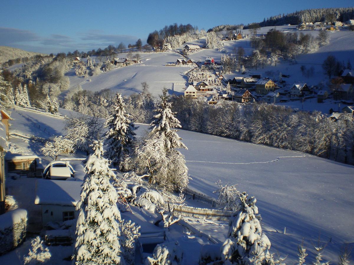 Cozy Apartment In Ore Mountains With Balcony ブライテンブルン エクステリア 写真